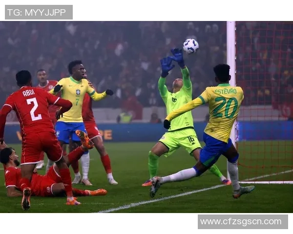 巴西足球阵容分析与历史演变探讨及未来发展展望